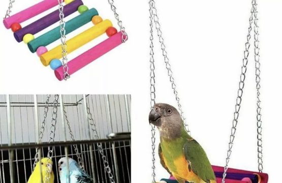 bird toy swings, bridge, hanging bells,