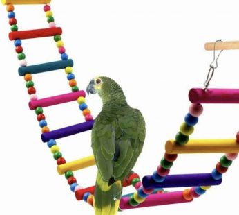 Bird Toy bridge