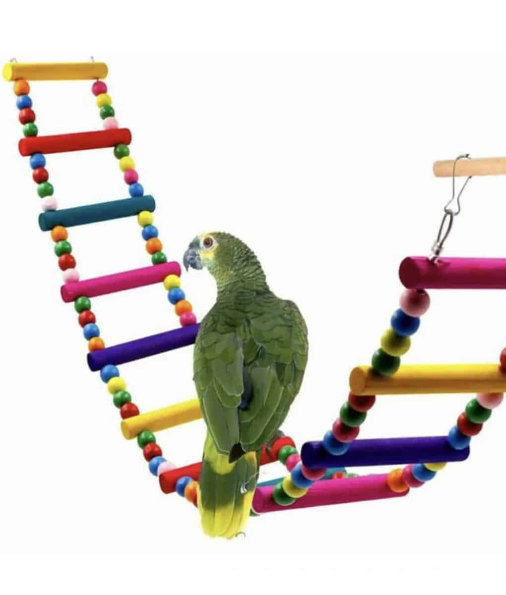 bird toy bridge