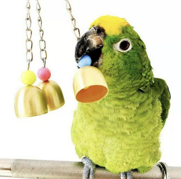 Bird Toy